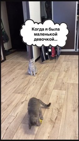 17-07-2025
