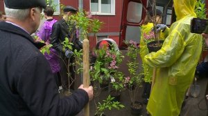 Воспитанники Детского Дома в День защиты детей посадили зелёные насаждения.