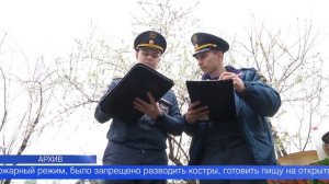 Число природных пожаров на Среднем Урале уменьшилось в полтора раза по сравнению с прошлым годом