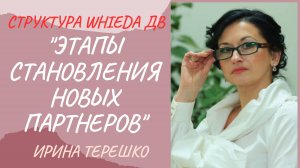 WHIEDA. Этапы становления новых партнеров. Этика ведения бизнеса