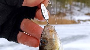 Распаковка посылки с блесной Эко-Про Killka-S