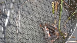 Рыбалка на Оке.