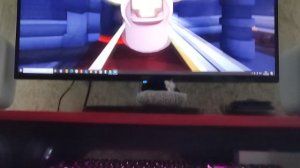 the house td открываю 200 урн паладина