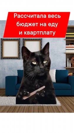 РАССЧИТАЛА БЮДЖЕТ, НО В ДВЕРЬ ПОСТУЧАЛИСЬ ОНИ 😱😱😱