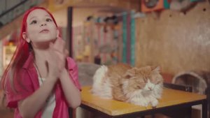 Моя кошка Lady Milana