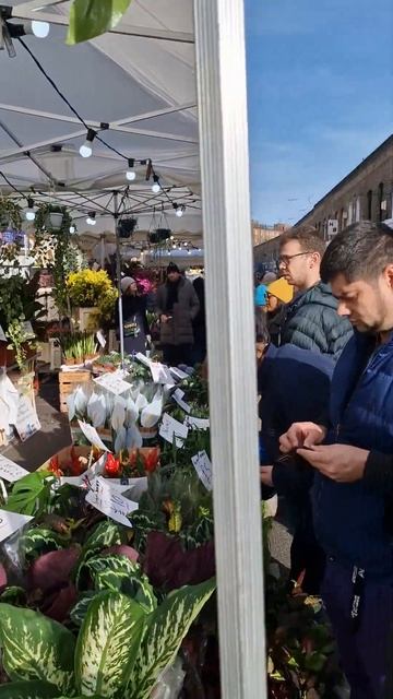 Лондон. Цветочный маркет. Цветы для сада. Море срезанн? смотреть онлайн