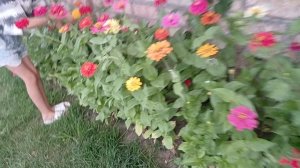 Гуляем в поселке Манас,Сукулукский район.Я отдыхаю в Бишкеке.Чем я занимаюсь там,жизнь в Кыргызстане