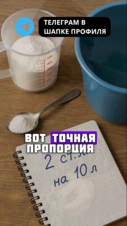 Обязательно дайте соду томатам, огурцам, перцам и будете собирать урожай вёдрами #огород #сад #да