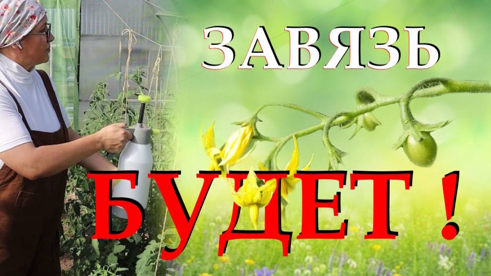 Борные подкормки для овощей