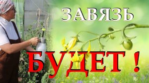 Борные подкормки для овощей