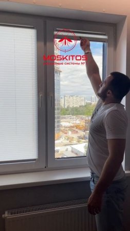Сетки и шторы плиссе