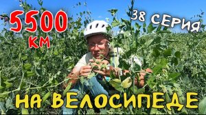 Рязань - Владивосток  Первый этап велопутешествия. 38 серия. Нижнеудинск - Тулун