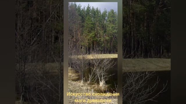 Маги древности Карлос Кастанеда искусство сновидений