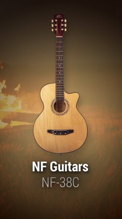 Идеальный спутник летних вечеров — гитара NF Guitars NF-38C