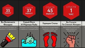 Если Вас Съест Кит