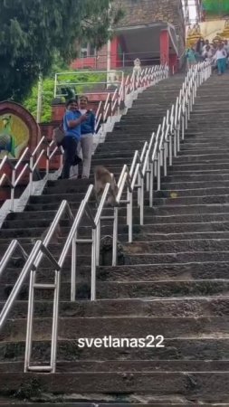 Новый вид олимпийских игр/ название пишите в комментариях.