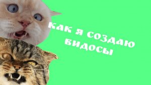 как же я создаю ролики???