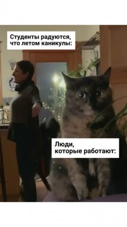 Завидуем студентам!