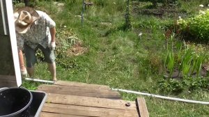 Моя абиссинская  скважина День первый