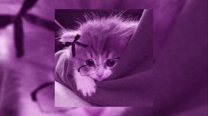 плейлист 
окак