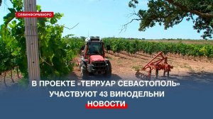 В проекте «Терруар Севастополь» участвуют 43 винодельни