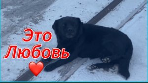 617ч🏡15.07.25-Продолжение//Шторы в зале//Пересадили картошку//Любят и ждут