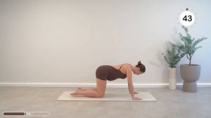 15 Min BEST PREGNANCY LOWER BACK PAIN RELIEF _ All Trimesters, No Talking _ Beginner Friendly