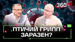 Инфекции атакуют: может ли человек заразиться птичьим гриппом