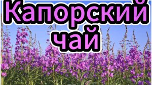 Капорский листовой чай