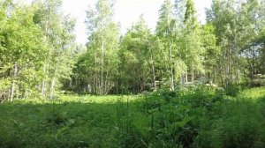 5433121 — 5433120 — 5433122