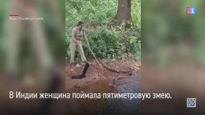В Индии женщина поймала пятиметровую кобру