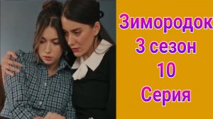 Зимородок 3 сезон 10 серия турецкий сериал на русском с озвучкой НТВ 2025