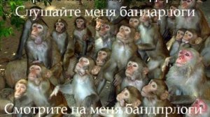 Ряженый бандарлог