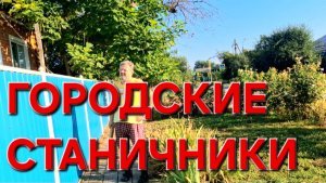624 Переезд на юг. С утра в работе. Закрываю компот из слив.