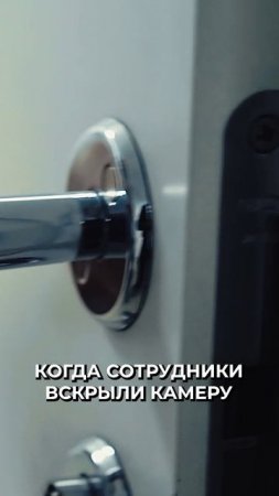 😳 Хозяйка оставила собаку в камере хранения