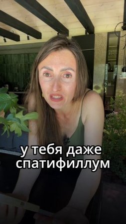 #комнатныерастения #озеленение #фитодизайн