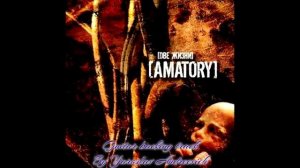 Amatory -Две жизни live guitar backing track
