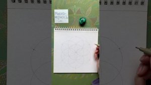 Многомерность