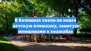 В Балашихе сняли на видео детскую площадку, занятую женщинами в хиджабах