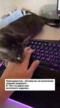 Ну ведь это же правда