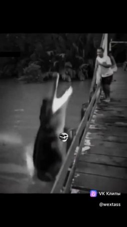 1000020365.mp4