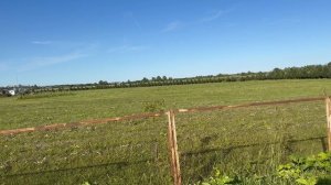 Красивые бесконечные луга