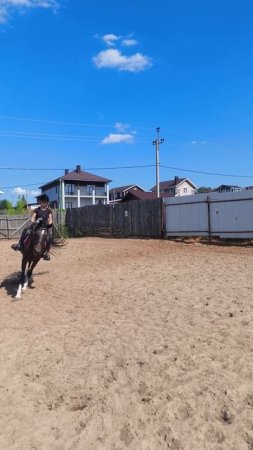 Даша и Флейта, учим КПД, петля на галопе.