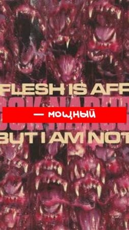 Shock_Narcotic_—_My_Flesh_Is_Afraid_But_I_Am_Not_(2025)
