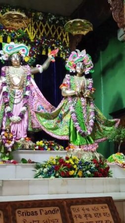 Panchatatva darshan 4 in Mayapur Dham #mayapur #deities #panchatatva #shorts
