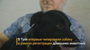 В Туле впервые чипировали собаку в рамках регистрации домашних животных.