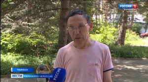 В последнее время в Карачаево-Черкесии наблюдается большое количество змей