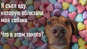 Я съел еду, которую облизала моя собака. Что в этом такого?