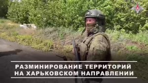 🧨 Саперы 44-го армейского корпуса разминируют территорию от взрывоопасных предметов на Харьковск...