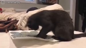 1000012979.mp4